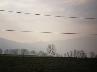 Beautiful grass field, with a ligne of dead trees (because it's winter). You can also see pastel mountains of the French Alps, in the fog. It was in february 2007.