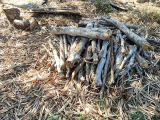 Wood pile prepared to burn fuel