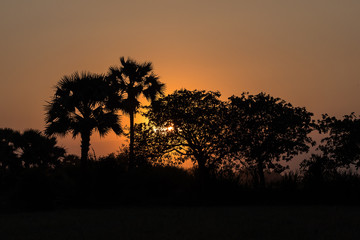 Fototapeta na wymiar Sunset in tropical rural district, Siem Reap, Cambodia