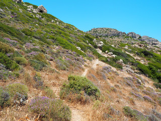 Rhodos - Küstenwanderung zwischen Traganou und Landiko Beach