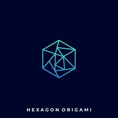 Fototapeta premium Abstract Hexagon Illustration Vector Template