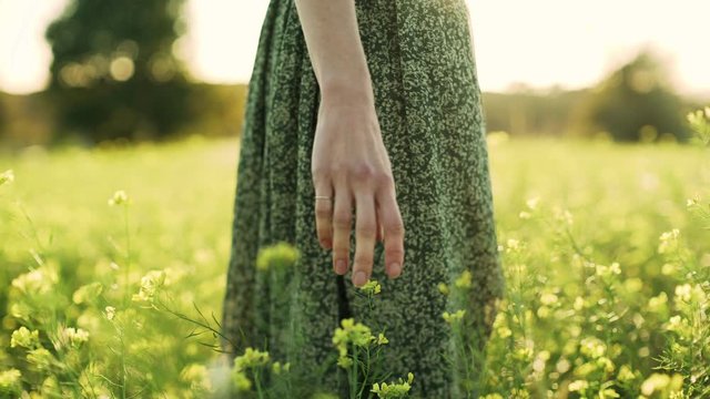 Girl in green dress standing on the field fool of blooming yellow flowers. Long hair woman admires the view of the beautiful countryside. Golden light in idyllic landscape. Fingers touch flowers.