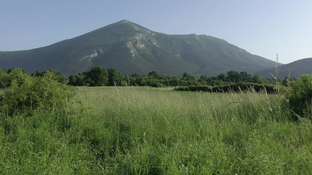 Green grass and vegetation with Rtanj mountain in background 4K footage