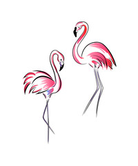 flamingo two, black lines contours and pink gradient brush strokes isolated on white background © Liubov