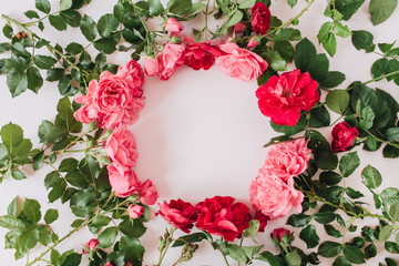 Frame border made of pink and red rose flowers and leaves. Flat lay, top view copy space mockup background.
