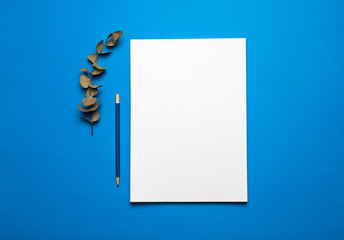 Flat lay composition inspired by the color of the year 2020 (classic blue) blue pencil and fir leaves, on a bright background,