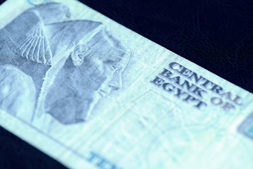 Ten egyptian pounds bill on a dark background close-up. Money background blue color toned
