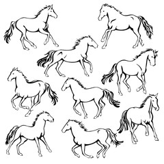 Wild Horses Line Art Icon Set