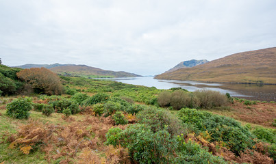 ireland lake view 