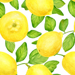 Watercolor lemon with leaves seamless pattern. Hand drawn botanical illustration of yellow citrus fruits isolated on white background. Design for textile, wrapping, package, cards, decoration.