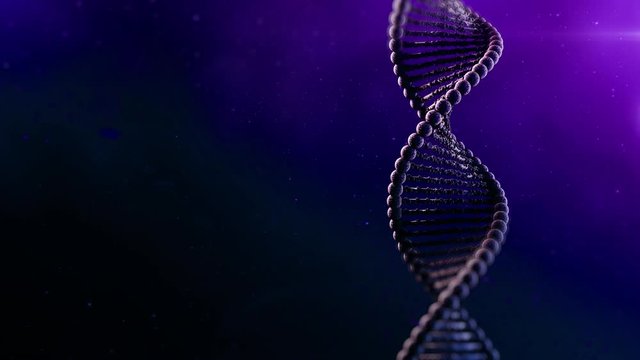 Full hd animation of seamlessly looping DNA strand.