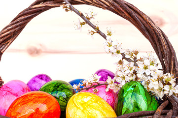 Hand-painted easter eggs in rainbow colors in a basket on a wooden background, decorated with cherry blossom. Springtime holidays concept