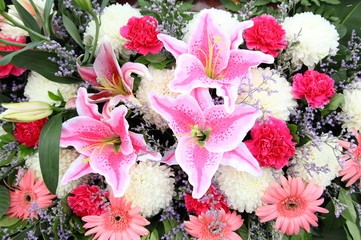 Obraz na płótnie Canvas Beautiful background of bright colorful flowers closeup 
