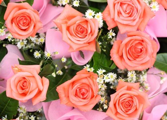 The bouquet rose flower as a background 