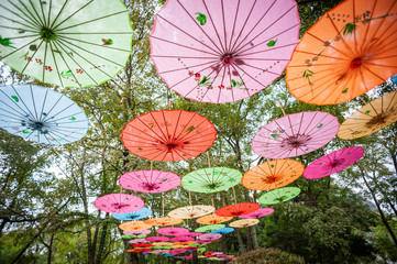 Chinese traditional multicolored umbrellas hanged on trees low angle view in Guilin, Guangxi province, China