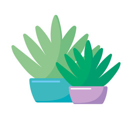 Isolated plants inside pots vector design