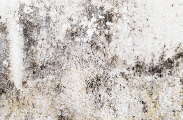 Old grunge texture background. Hi res texture and perfect background with area for copy space.