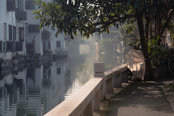 Image of Suzhou,Jiangsu,China in   mist afternoon.Suzhou is a historic city in China,it has lot of historic building,literature,art.Also famous for waterways.