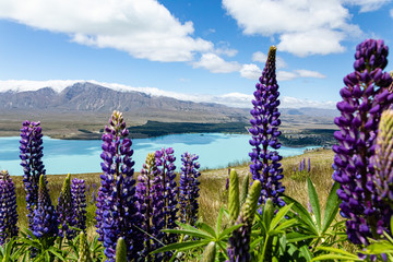 Neuseeland