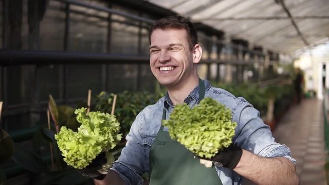 Overjoyed young seller in green apron standing in a row of greenhouse, holding in hands two piles of green, fresh salad and making funny dance, smiling and excited. Slow motion