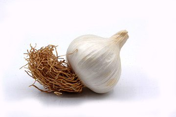 natural organic garlic, wahite bachgroung