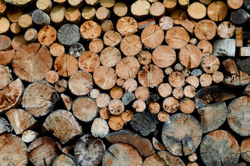 Wood logs flat texture multiple wooden round logs stacked up