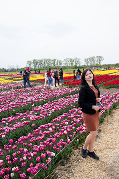 Beautiful Brunette Woman With Tulips In Field Of Flowers