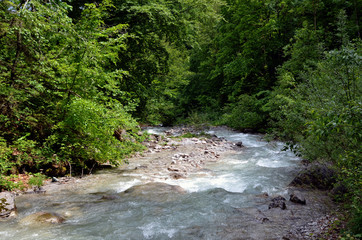 Wild river running through the forest in Tirol Austria europe.