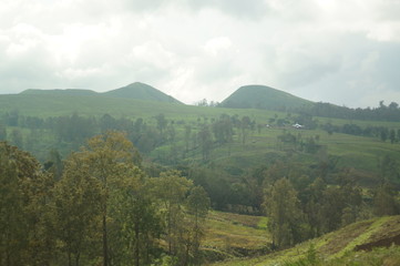 Obraz premium Plateau with a few trees under the foot of the mountain and was once a wilderness