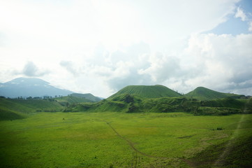 The expanse of the savanna is dominated by dry grass and several trees that spread widely against the background of mountains and canyons.