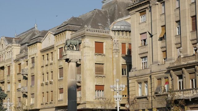 Town center and sculpture of Statuia Lupoaicei in Romanian city of Timisoara 4K video