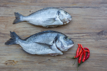Raw dorado or sea bream fish on wooden table with red hot chili 
