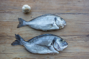 Raw dorado or sea bream fish on wooden table, top view. Space for text