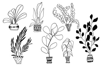 Set of houseplants in doodle style. Simple linear sketch. Isolated on a white background.