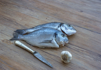 Raw dorado or sea bream fish on wooden table with vintage knife and garlic. Space for text