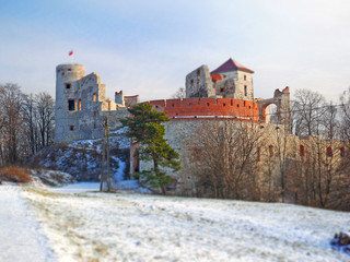 castle in poland tilt shift