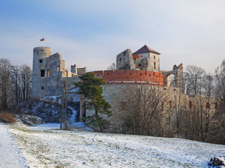 castle in poland view