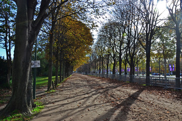 Paris, France - October 26th 2019 : Pavement down the Champs-Elysees avenue, which looks like a...