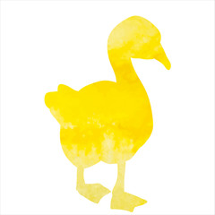 vector, isolated, yellow watercolor silhouette of a goose, duck pet