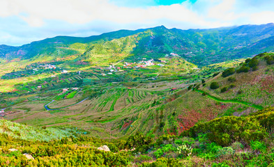 Fototapeta na wymiar Rural landscape of tne North of Tenerife