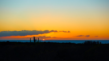 Landscape with The Atlantic Ocean at sunset