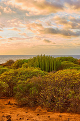 Tenerife at sunset - Landscape