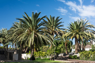 Park in San Agustin auf Gran Canaria.