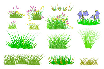 Grass set isolated on white background. Collection with summer green grass and flowers. Realistic green grass, fresh spring plants, different herbs, bush of grass of various shapes. Stock vector