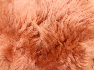 Brown long hair fur for background or texture
