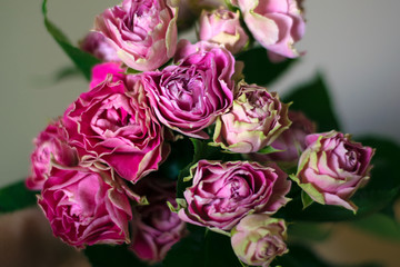 flowers on the table pink spray roses