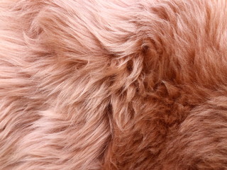 Brown long hair fur for background or texture