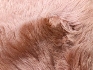 Brown long hair fur for background or texture