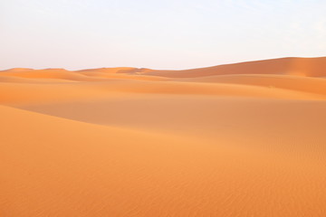 Fototapeta na wymiar Bright orange desert sand dunes in the Arabian Desert in Riyadh, Saudi Arabia
