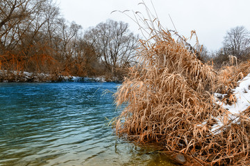 View of the river from the left bank of bushes of dried grass, a bright blue river
